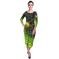 Quarter Sleeve Midi Velour Bodycon Dress 