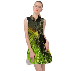 Sleeveless Shirt Dress 