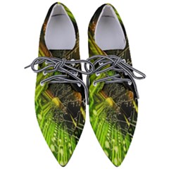 Women s Pointed Oxford Shoes 