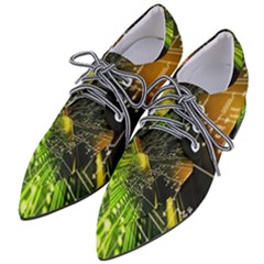 Women s Pointed Oxford Shoes 