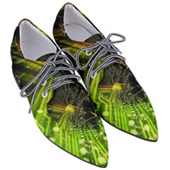 Women s Pointed Oxford Shoes 
