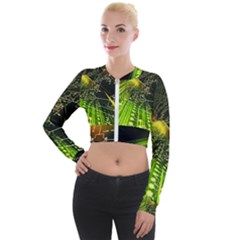 Long Sleeve Cropped Velvet Jacket 