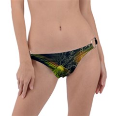 Ring Detail Bikini Bottoms 