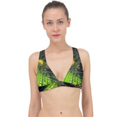 Classic Banded Bikini Top 