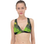 Machine Technology Circuit Electronic Computer Technics Detail Psychedelic Abstract Pattern Classic Banded Bikini Top