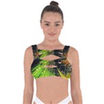 Machine Technology Circuit Electronic Computer Technics Detail Psychedelic Abstract Pattern Bandaged Up Bikini Top