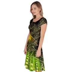 Classic Short Sleeve Dress 