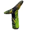 Microwave Oven Glove 
