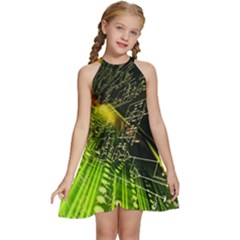 Kids  Halter Collar Waist Tie Chiffon Dress 