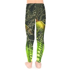 Kids  Classic Winter Leggings 