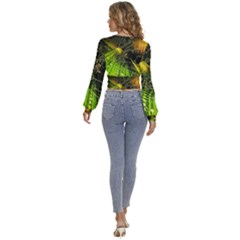 Long Sleeve Deep-V Velour Top 