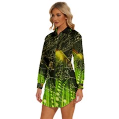 Womens Long Sleeve Shirt Dress 