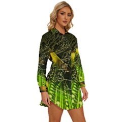 Womens Long Sleeve Shirt Dress 