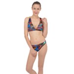 Psychedelic Trippy Hippie  Weird Art Classic Banded Bikini Set 