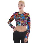 Psychedelic Trippy Hippie  Weird Art Long Sleeve Cropped Velvet Jacket