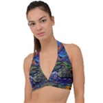 Psychedelic Landscape Halter Plunge Bikini Top