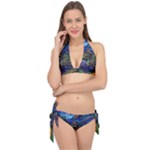 Psychedelic Landscape Tie It Up Bikini Set