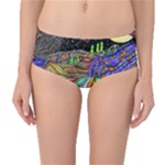 Nature Moon Psychedelic Painting Mid-Waist Bikini Bottoms