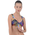 Nature Moon Psychedelic Painting Front Tie Bikini Top