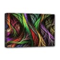 Deluxe Canvas 18  x 12  (Stretched) 