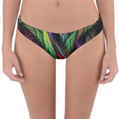 Reversible Hipster Bikini Bottoms 