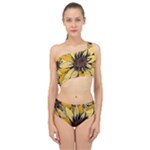 Colorful Seamless Floral Pattern Spliced Up Two Piece Swimsuit