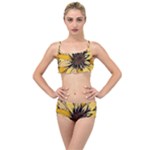 Colorful Seamless Floral Pattern Layered Top Bikini Set