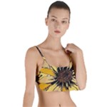 Colorful Seamless Floral Pattern Layered Top Bikini Top 