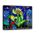 Deluxe Canvas 20  x 16  (Stretched) 