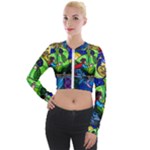 Beauty And The Beast Stained Glass Rose Long Sleeve Cropped Velvet Jacket