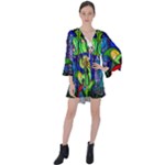 Beauty And The Beast Stained Glass Rose V-Neck Flare Sleeve Mini Dress