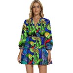 Beauty And The Beast Stained Glass Rose V-Neck Placket Mini Dress