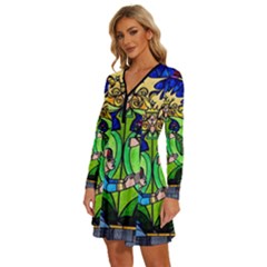 Long Sleeve Deep V Mini Dress  