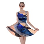 Bluebird Skater Dress