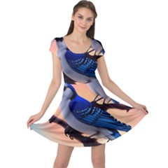 Cap Sleeve Dress 