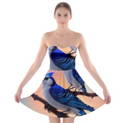 Strapless Bra Top Dress 