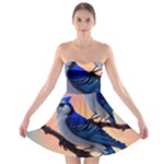 Bluebird Strapless Bra Top Dress