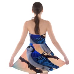 Strapless Bra Top Dress 