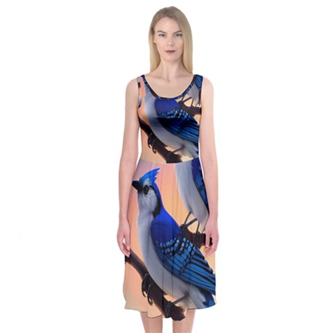 Bluebird Midi Sleeveless Dress from ArtsNow.com