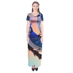 Short Sleeve Maxi Dress 
