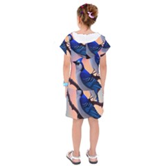Kids  Drop Waist Dress 