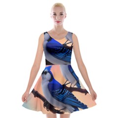 Velvet Skater Dress 