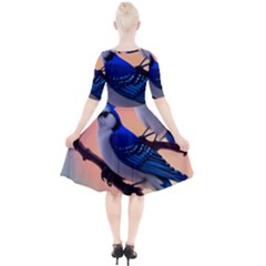 Quarter Sleeve A-Line Dress 