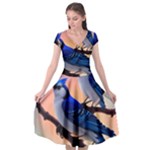 Bluebird Cap Sleeve Wrap Front Dress