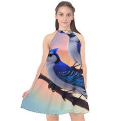 Halter Neckline Chiffon Dress  