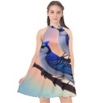 Bluebird Halter Neckline Chiffon Dress 