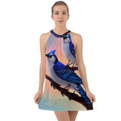 Halter Tie Back Chiffon Dress 