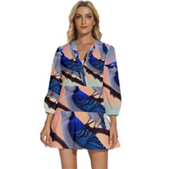 V-Neck Placket Mini Dress 