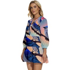 V-Neck Placket Mini Dress 