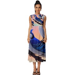 Sleeveless Round Neck Midi Dress 